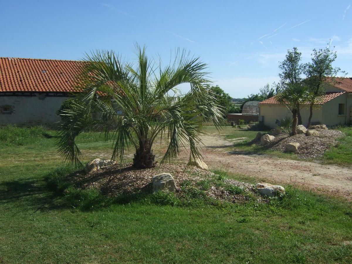 فندق Belge'Attitude Maison D'Hotes Commequiers المظهر الخارجي الصورة